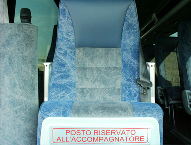 Comfort seats with armrests, seat belts and lights/climate controls. Reserved seats for the tour guide/driver with microphone.